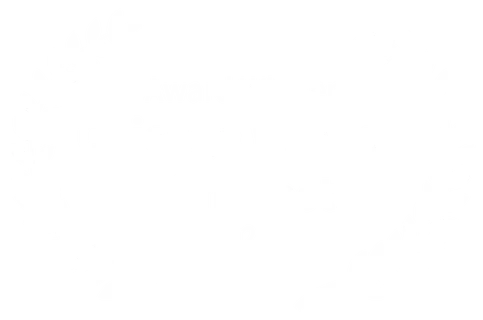 Chicago Film Festival award laurel - winner